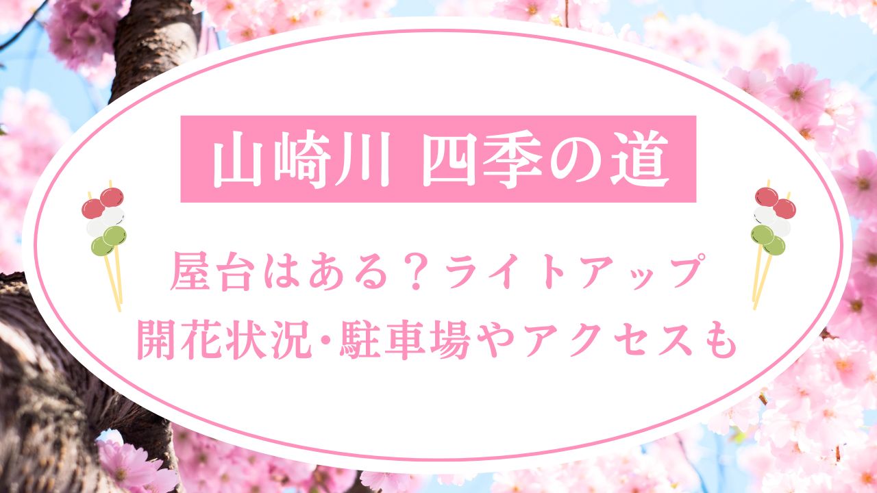 山崎川四季の道の桜2025屋台はある?ライトアップや開花状況･駐車場やアクセスも