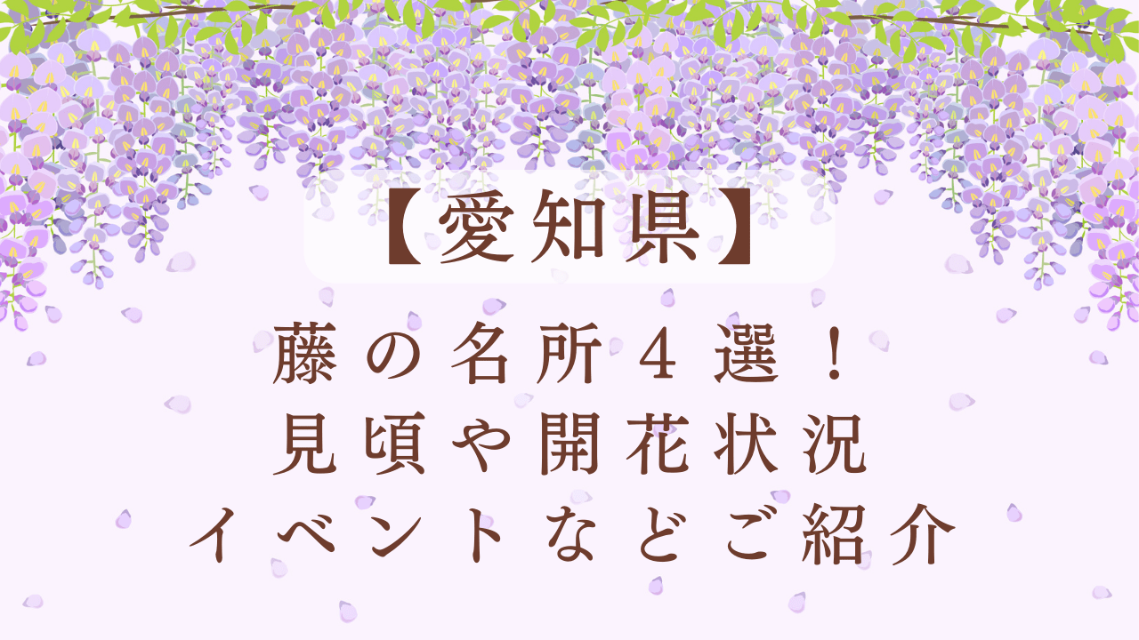 【2024】愛知県の藤の名所4選！見頃や開花状況・イベントなどをご紹介！
