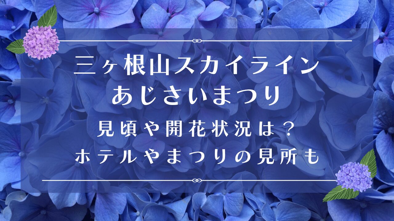 三ヶ根山スカイラインあじさいまつり2024｜見頃や開花状況は？ホテルやまつりの見所も