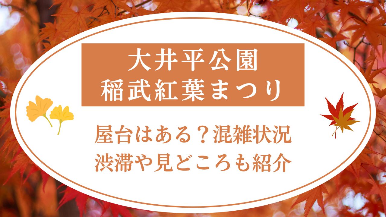 大井平公園稲武紅葉まつり2024屋台ある？混雑･渋滞や見どころも紹介