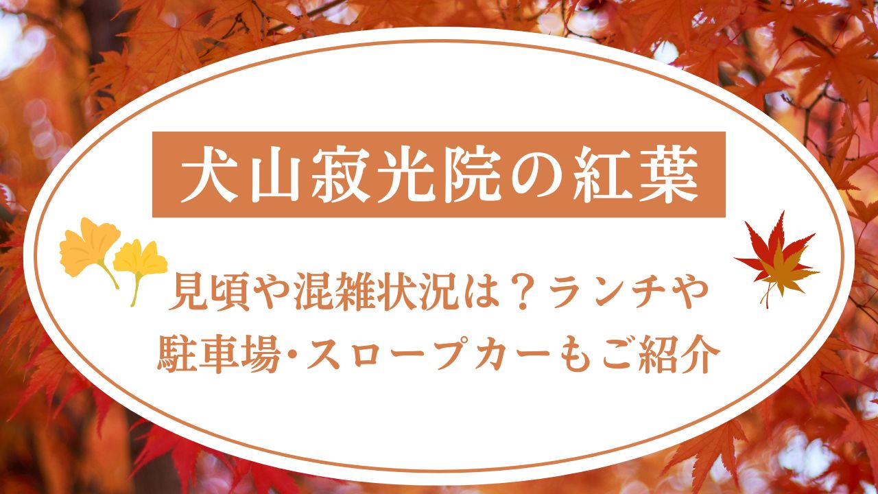 犬山寂光院の紅葉2024見頃や混雑状況は？ランチや駐車場・スロープカーもご紹介