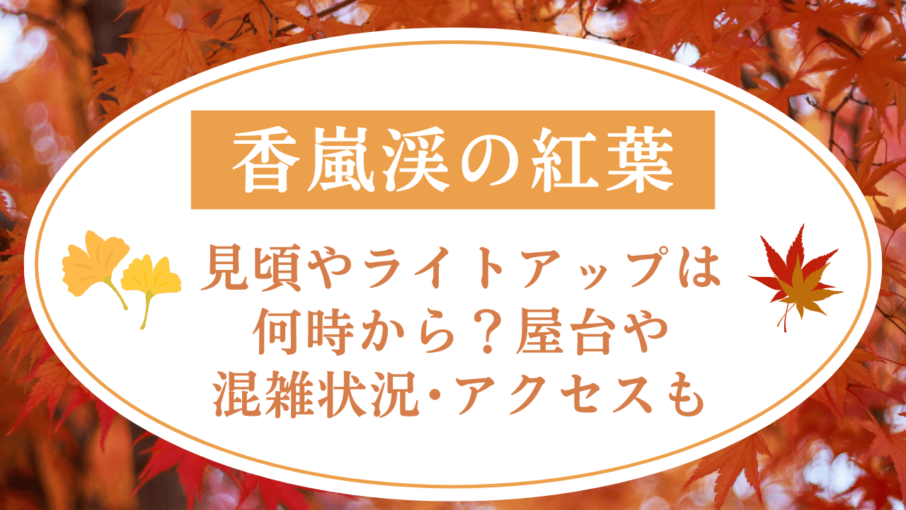 香嵐渓の紅葉2024見頃やライトアップは何時から？屋台や混雑状況･アクセスも