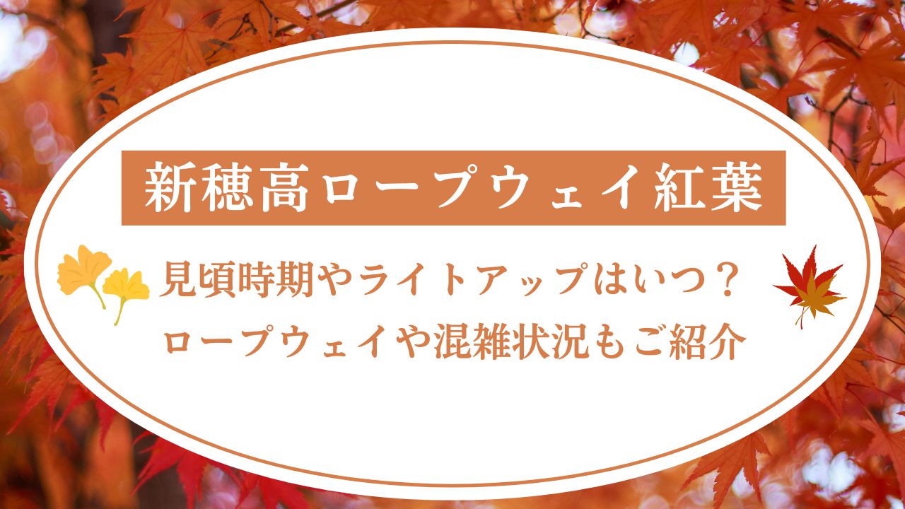 新穂高ロープウェイ紅葉2024見頃時期やライトアップはいつ？混雑状況もご紹介