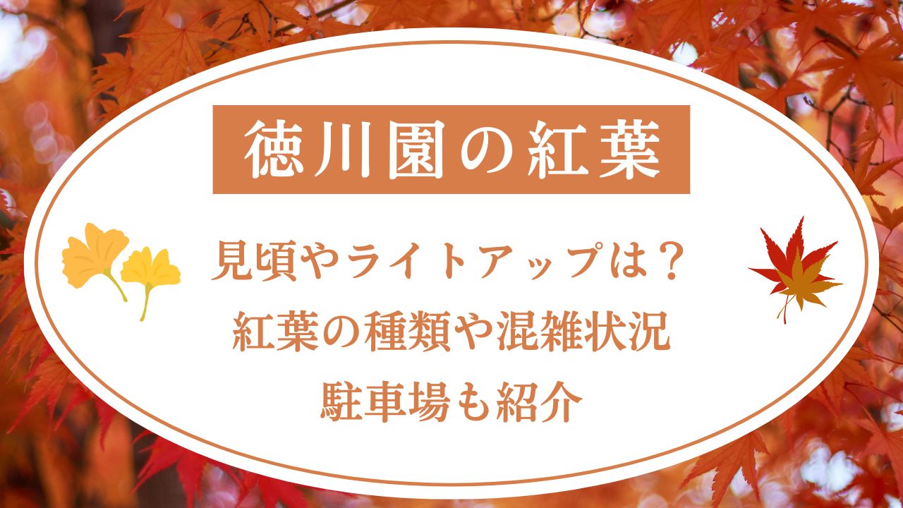 徳川園の紅葉祭2024見頃やライトアップは？紅葉の種類や混雑状況・駐車場も紹介