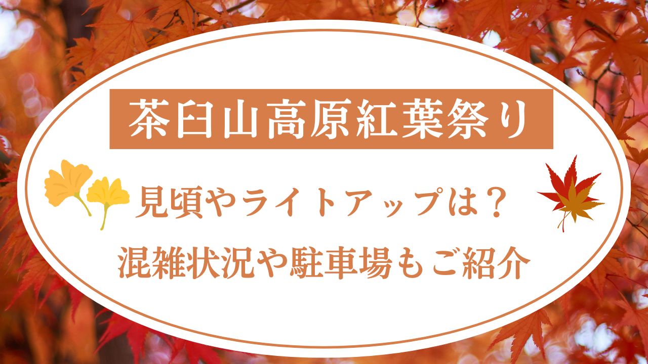 茶臼山高原紅葉祭り2024見頃やライトアップは？混雑状況や駐車場もご紹介