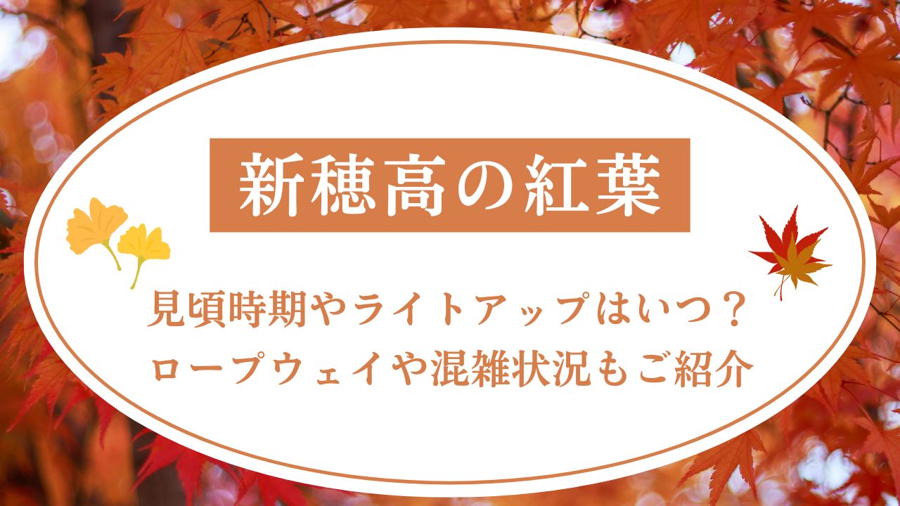 新穂高の紅葉2024見頃時期やライトアップはいつ？ロープウェイや混雑状況もご紹介