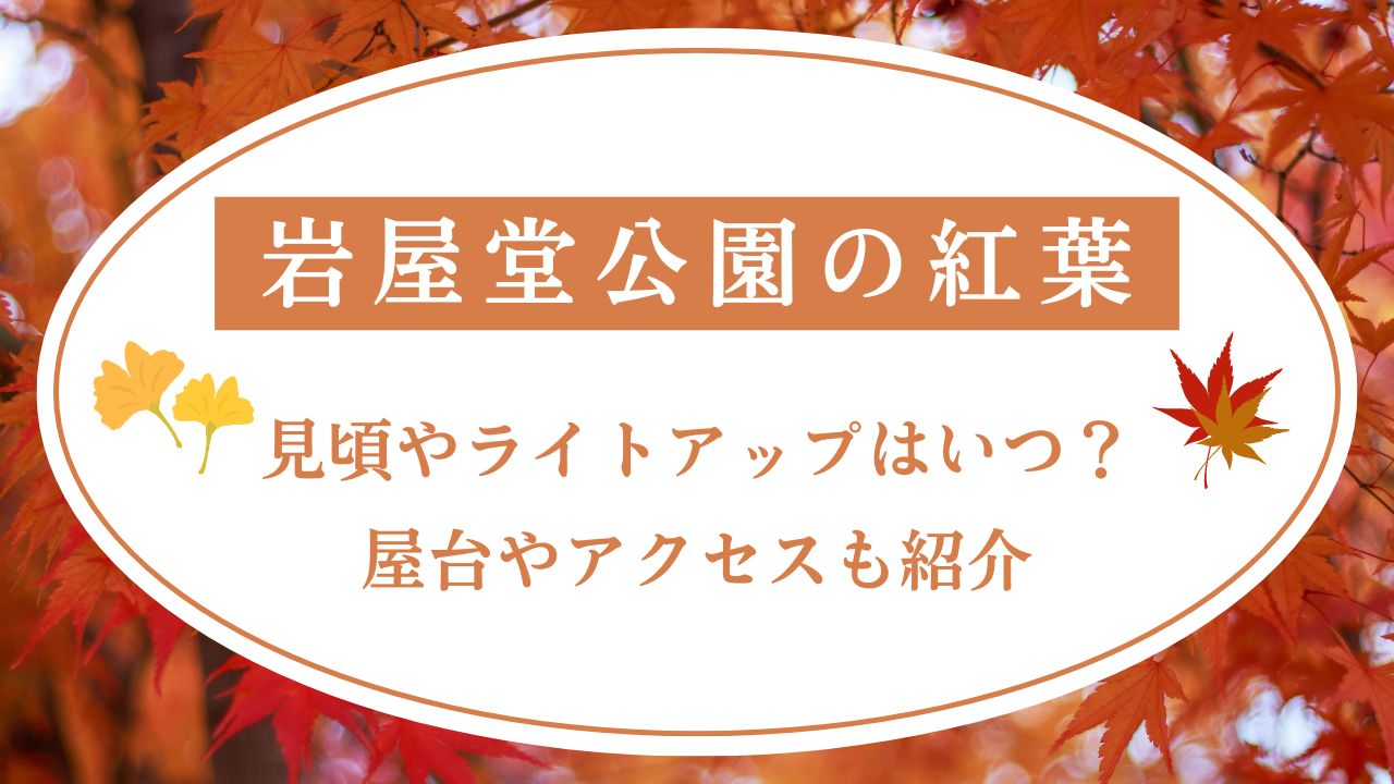 岩屋堂公園の紅葉2024見頃やライトアップはいつ？屋台やアクセスも紹介