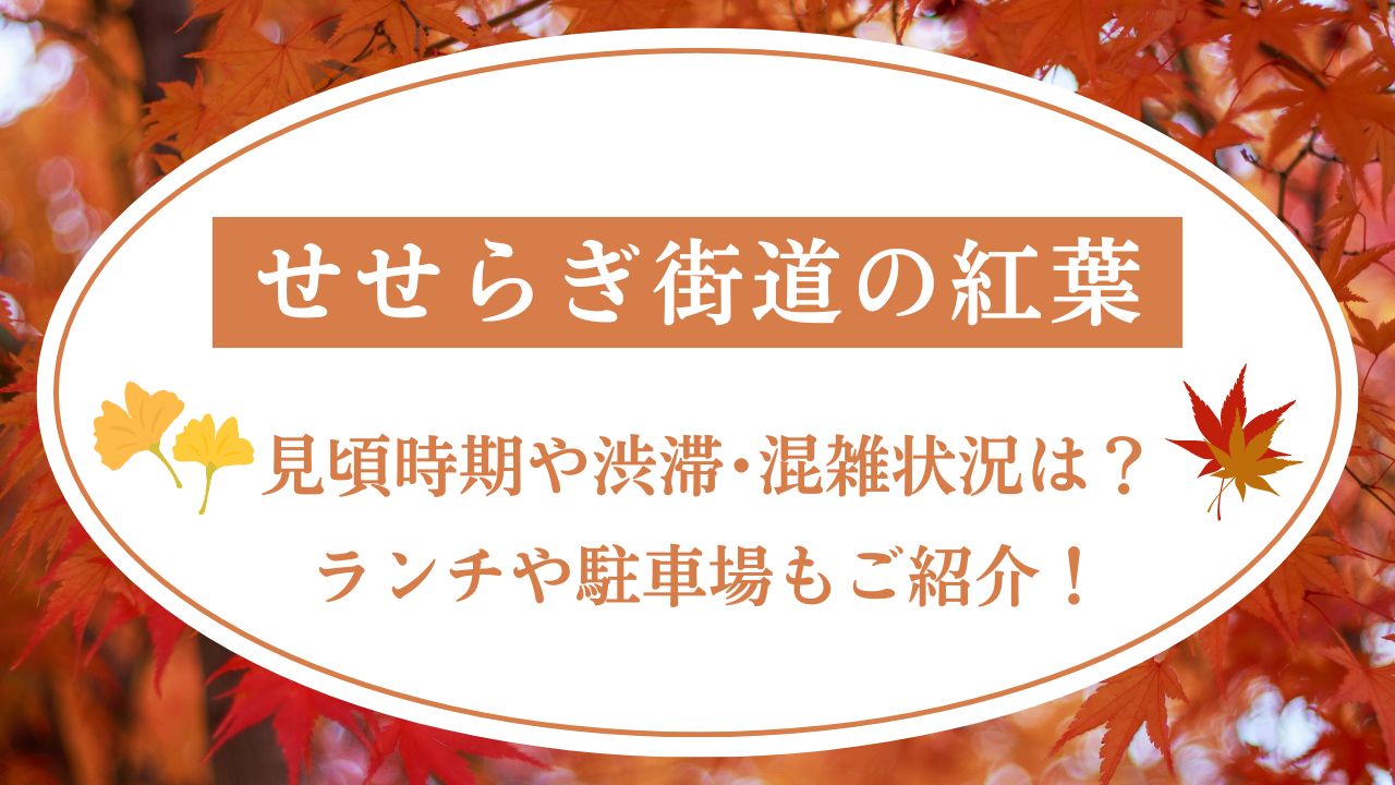 せせらぎ街道紅葉2024見頃時期や渋滞･混雑状況は？ランチや駐車場もご紹介！