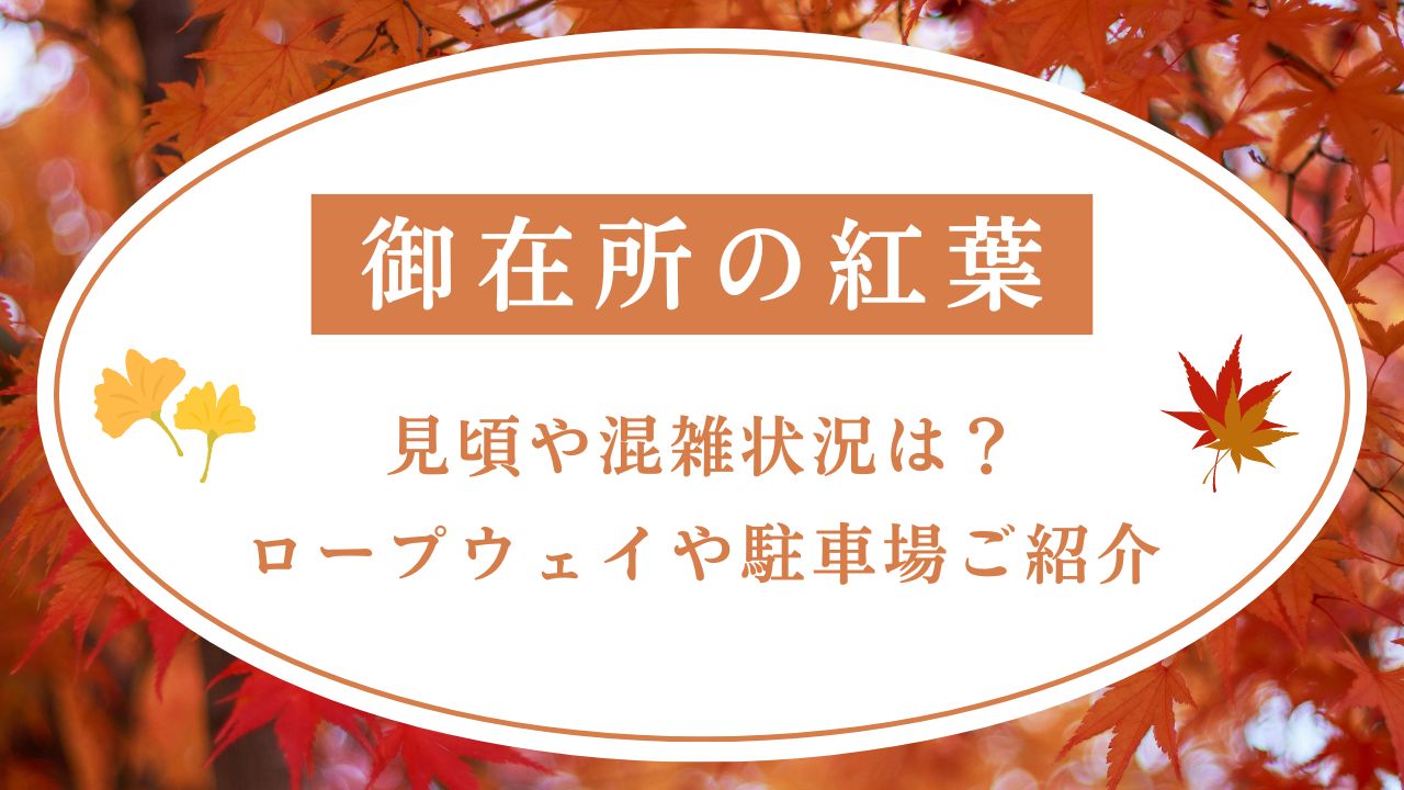 御在所の紅葉2024見頃や混雑状況は？ロープウェイや駐車場ご紹介