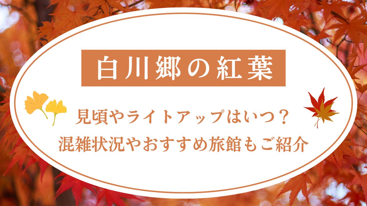 白川郷の紅葉2024見頃やライトアップはいつ？混雑状況やおすすめ旅館もご紹介