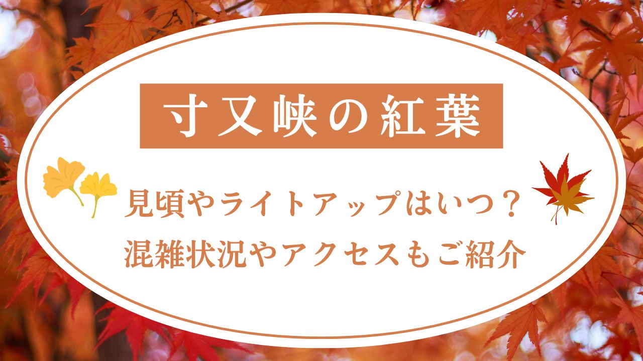 寸又峡の紅葉2024見頃やライトアップはいつ？混雑状況やアクセスもご紹介