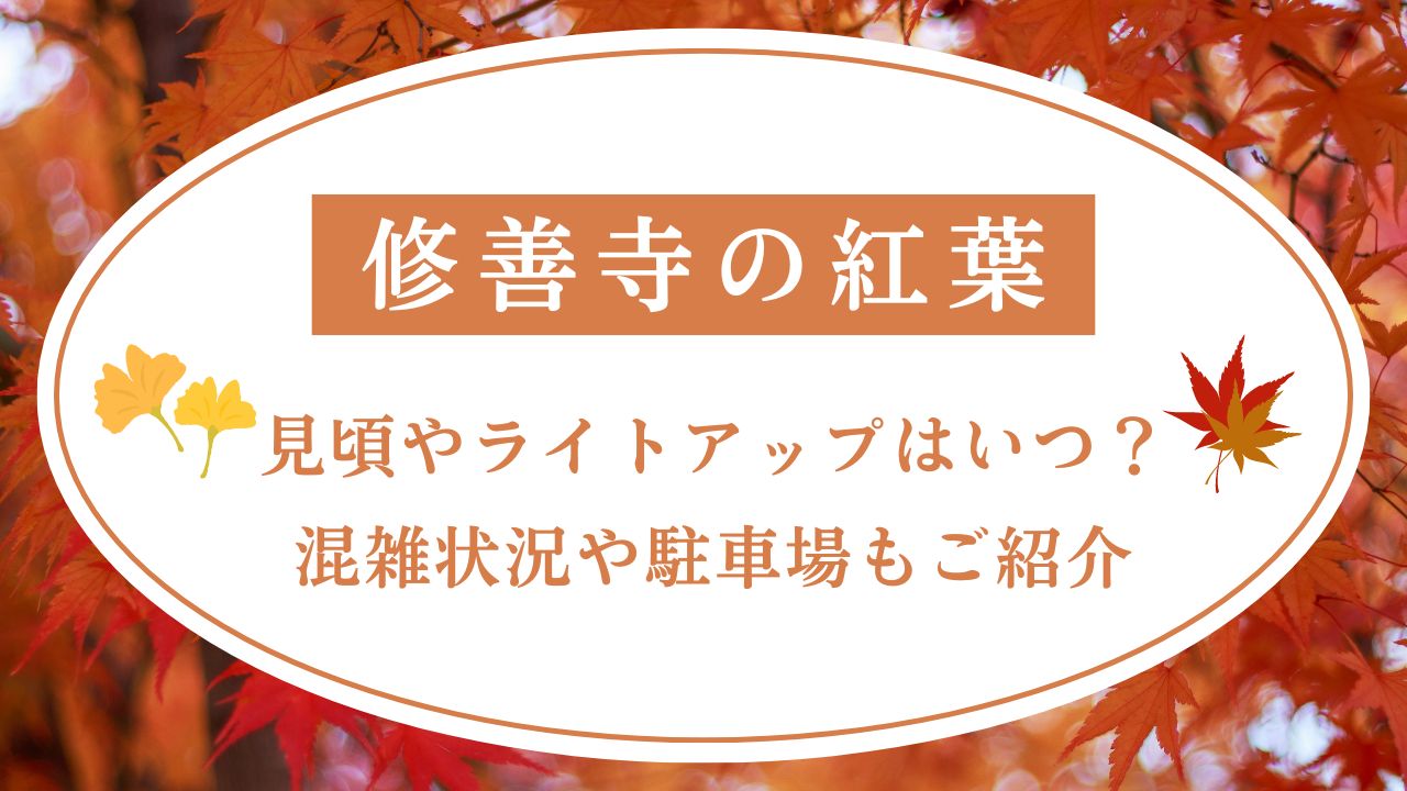 修善寺の紅葉2024見頃やライトアップはいつ？混雑状況や駐車場もご紹介