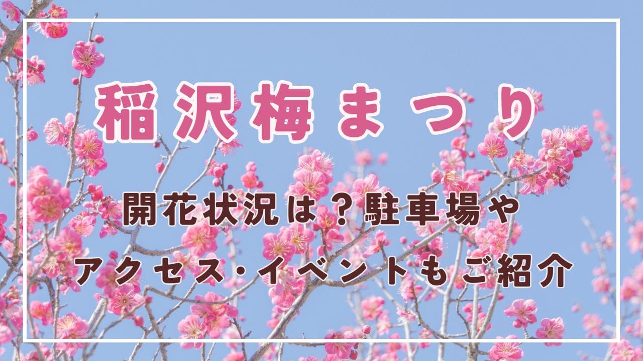 稲沢梅まつり2025の開花状況は？駐車場やアクセス･イベントもご紹介