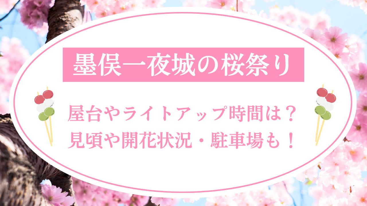 墨俣一夜城桜まつり2025屋台やライトアップ時間は？見頃や開花状況・駐車場も！