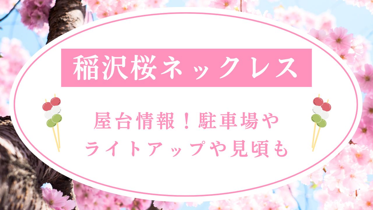 稲沢桜ネックレス2025屋台情報！駐車場やライトアップや見頃も