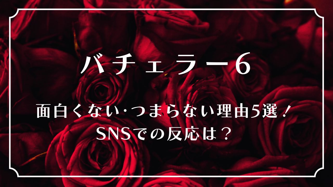 バチェラー6｜面白くない･つまらない理由5選！SNSでの反応は？