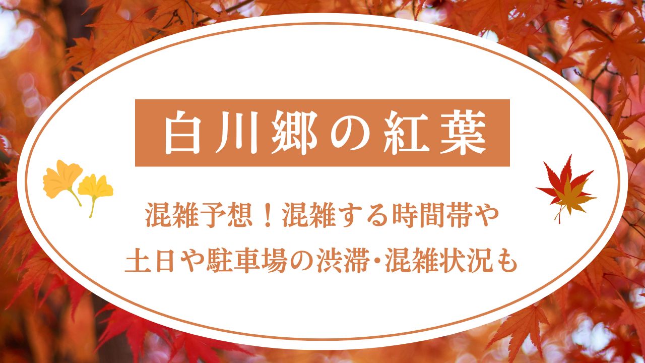 白川郷の紅葉2025混雑予想！混雑時間や土日の駐車場の混雑状況・渋滞回避方法も