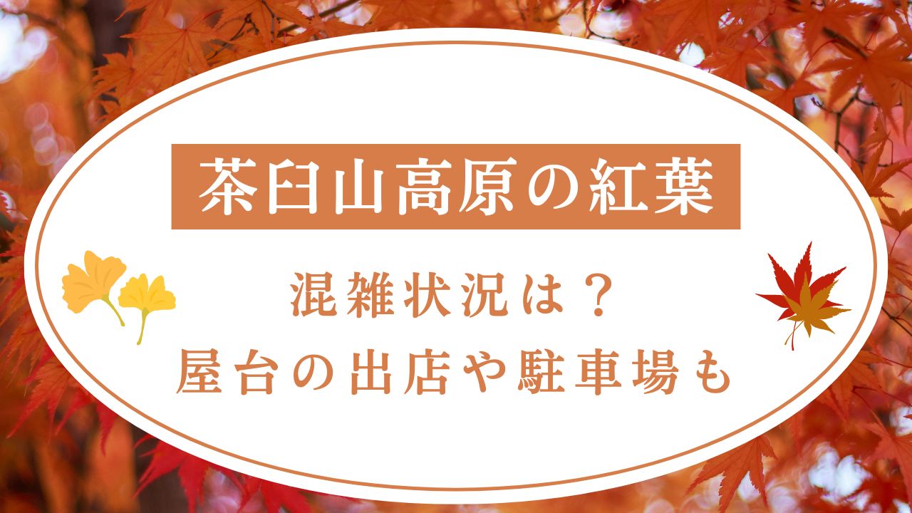 茶臼山高原の紅葉2025の混雑状況は？屋台の出店や駐車場も